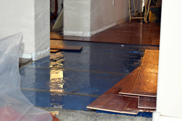 Professional Flood Damage Restoration technician working in Lockport, LA